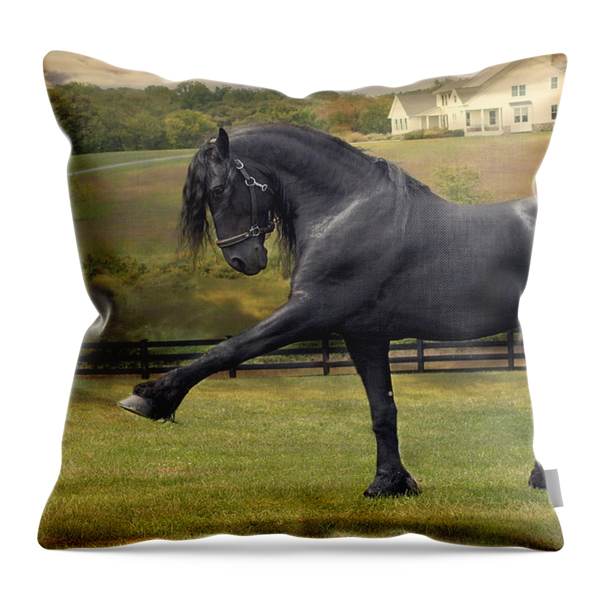Friesian Throw Pillow featuring the photograph Friesian Stallion Tije Spanish Walk by Fran J Scott