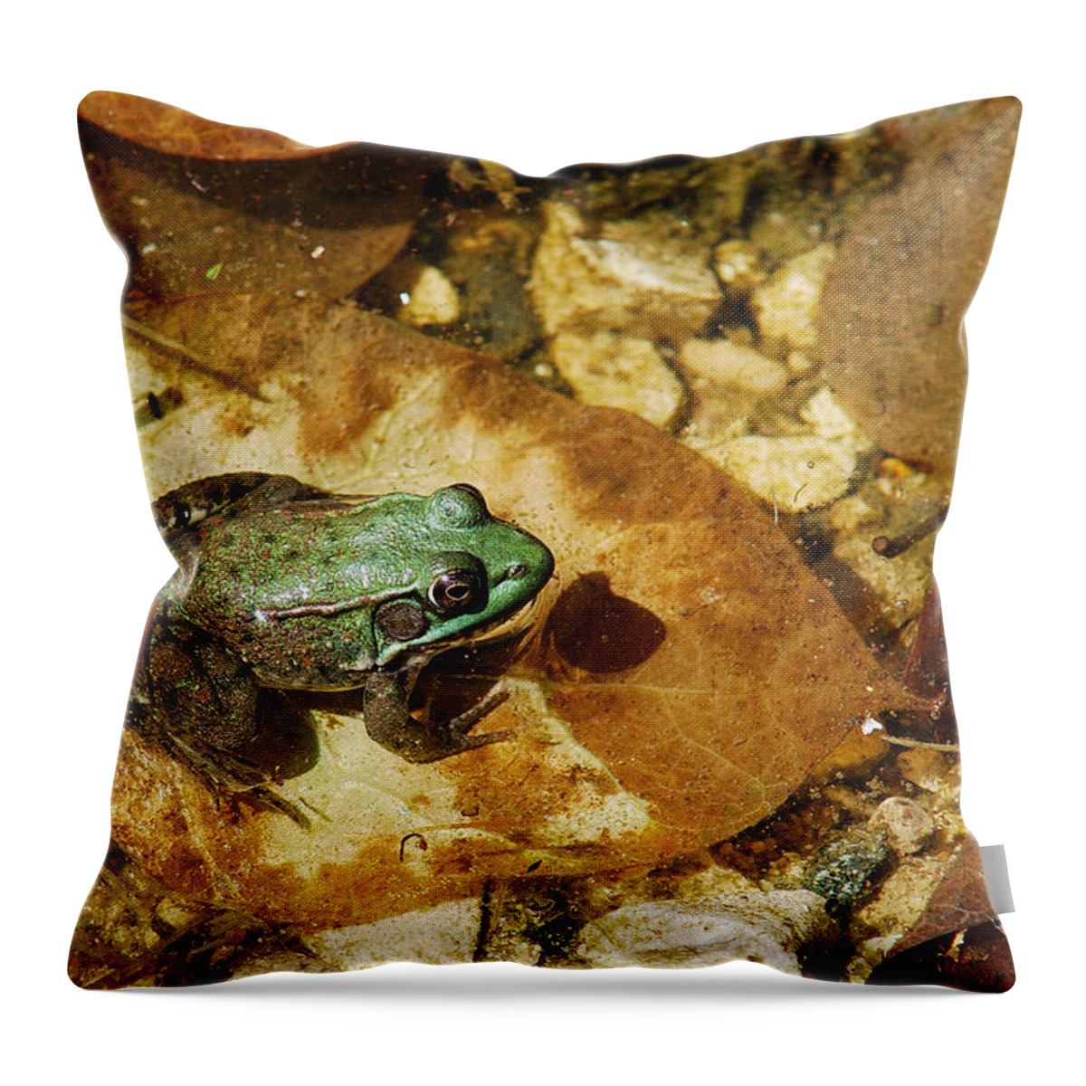 Jma Throw Pillow featuring the photograph Frog And A Ladybug by Janice Adomeit