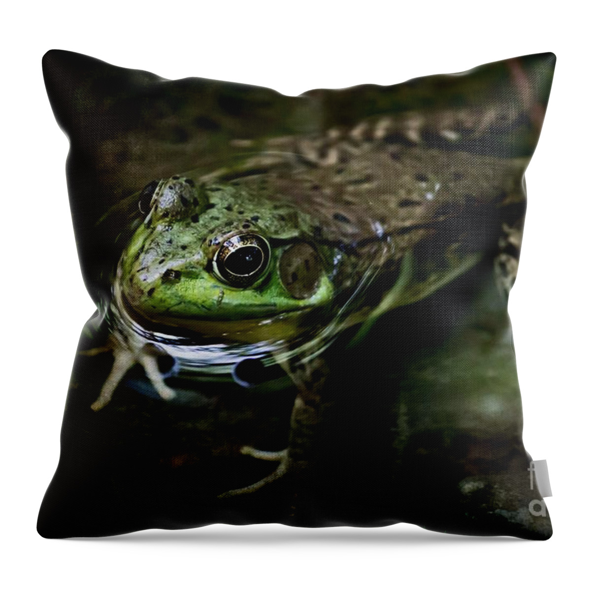 Nature Throw Pillow featuring the photograph Frog Floating by Ms Judi