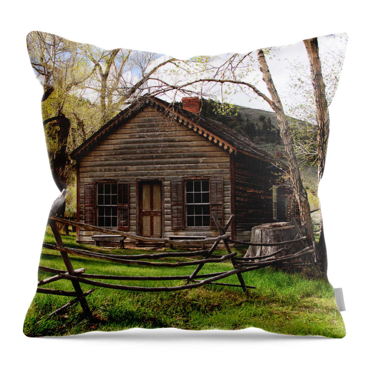Trees Throw Pillow featuring the photograph From a Simpler Time by Joseph Noonan