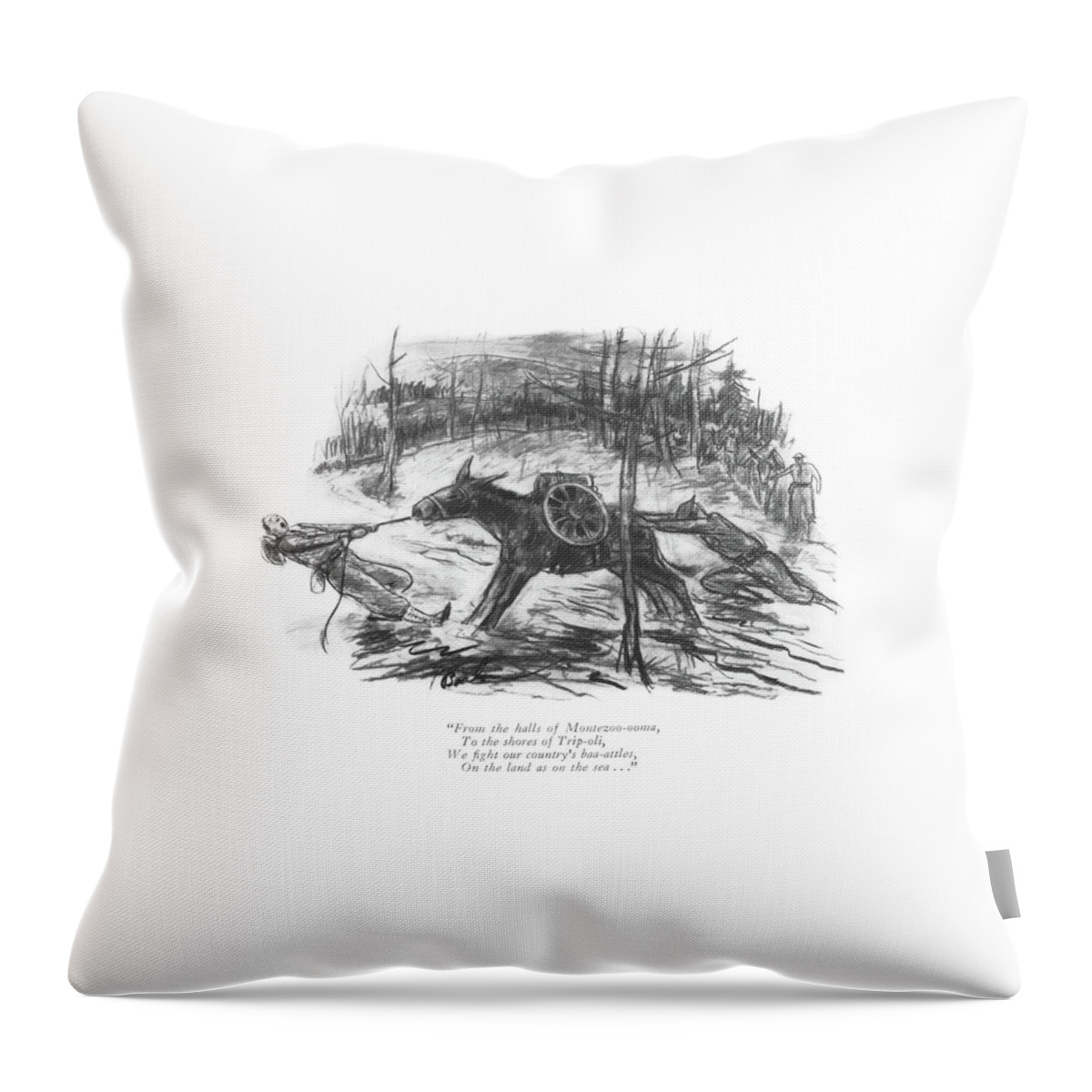 From The Halls Of Montezoo-ooma Throw Pillow