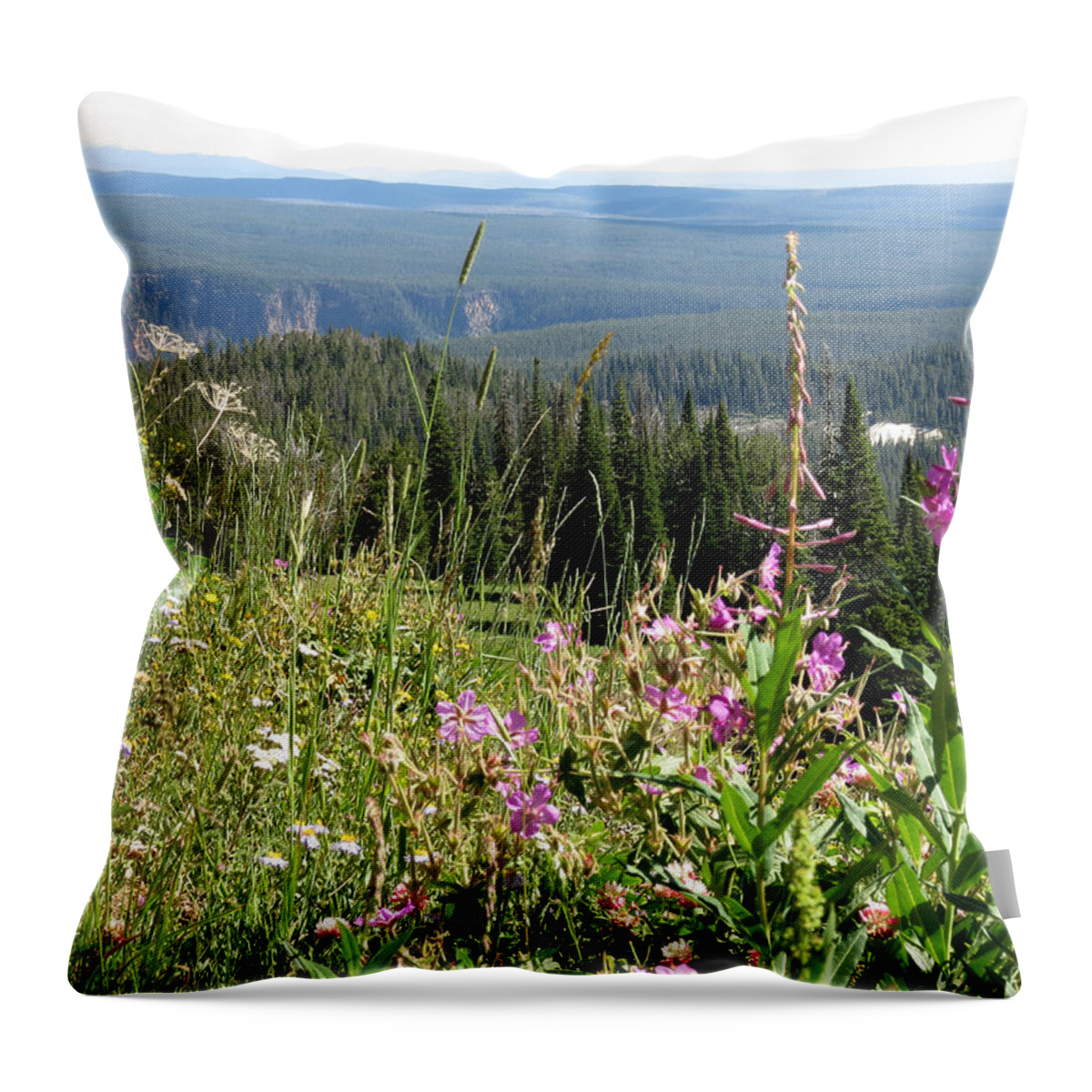 Flowers Throw Pillow featuring the photograph From the Mountain by Laurel Powell