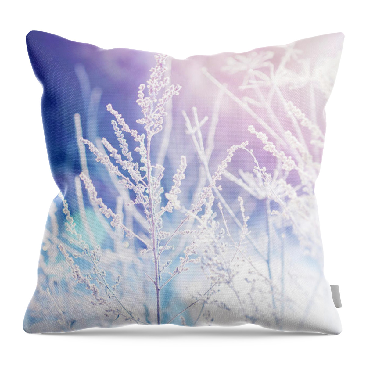 Scenics Throw Pillow featuring the photograph Frost On A Herb At Sunrise, Shallow by 5ugarless
