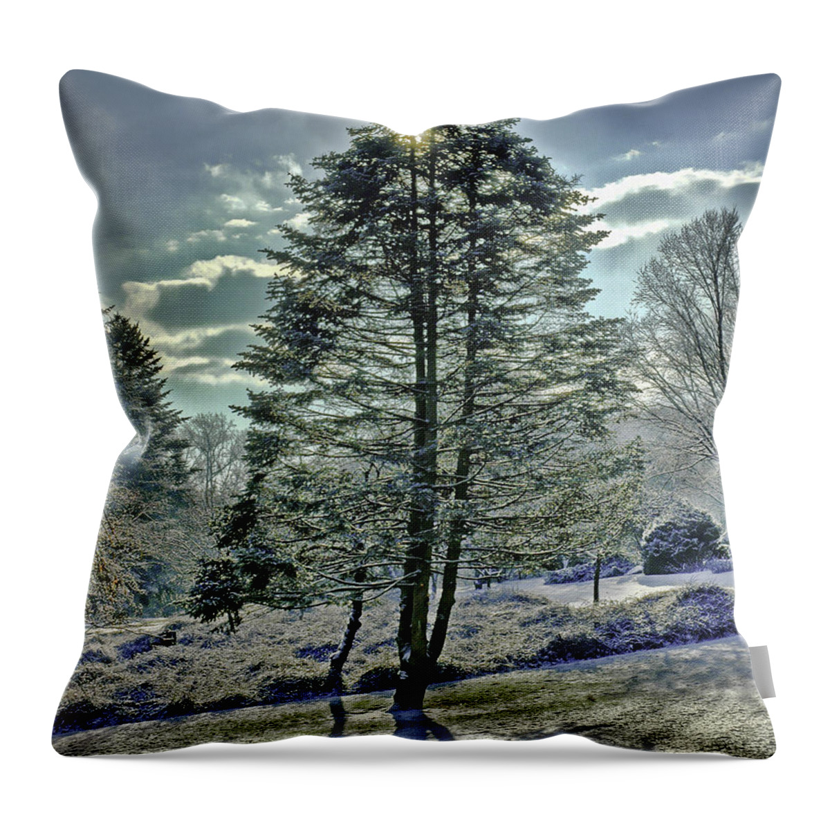 Tree Throw Pillow featuring the photograph Frost on Pine Tree by Gary Slawsky
