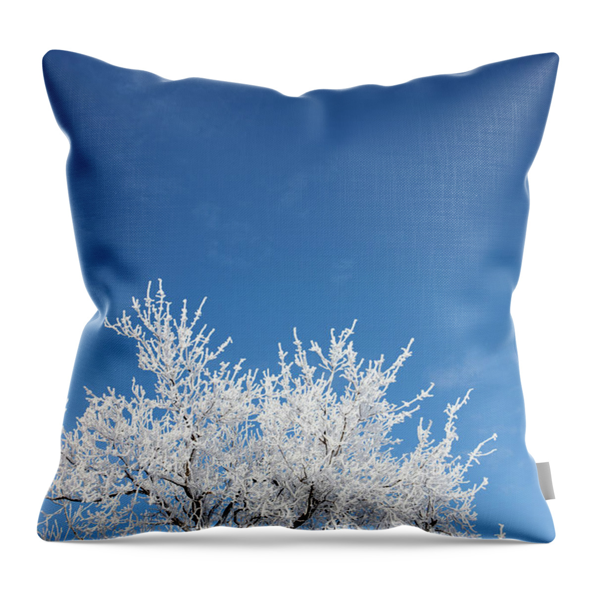 Snow Throw Pillow featuring the photograph Frost On Tree Branches During Winter by Joe Fox