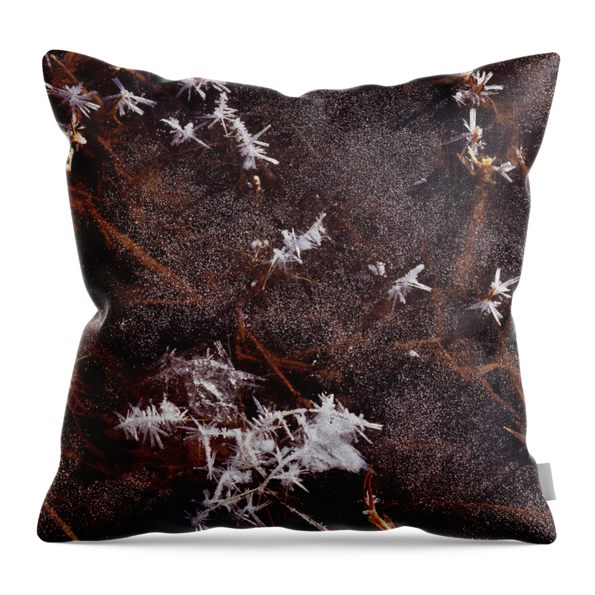 Nature Photography Throw Pillow featuring the photograph Frost Plumes by Tom Daniel