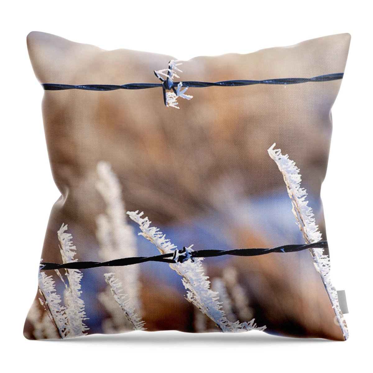 Ice Crystals Throw Pillow featuring the photograph Frosted Fence Line by Jim Garrison