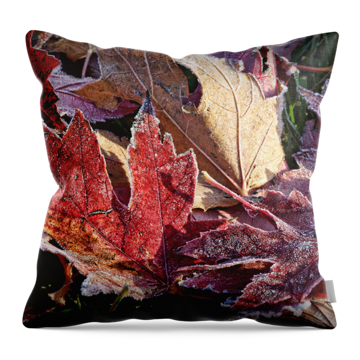 Leaves Throw Pillow featuring the photograph Frosted Leaves #2 by Nikolyn McDonald