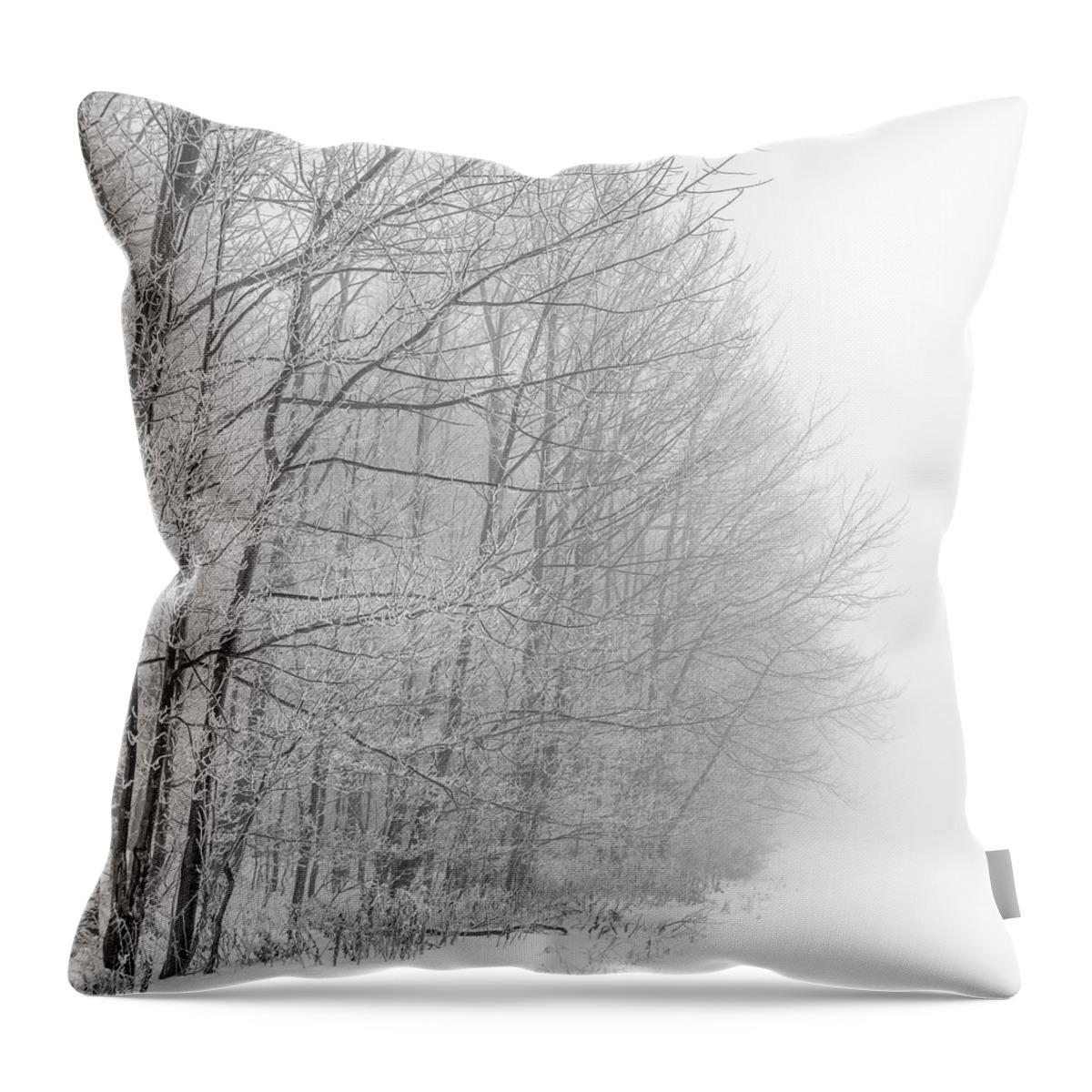 Landscape Throw Pillow featuring the photograph Frosty Forest Frontier by Chris Bordeleau