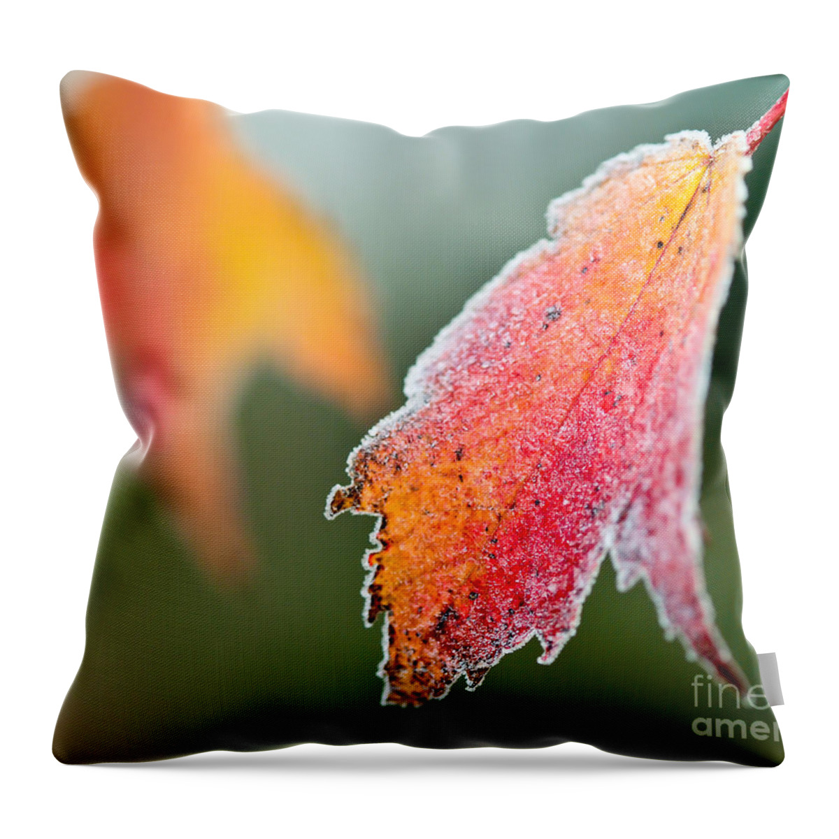 Frosty Leaf Throw Pillow featuring the photograph Frosty Leaf by Kerri Farley