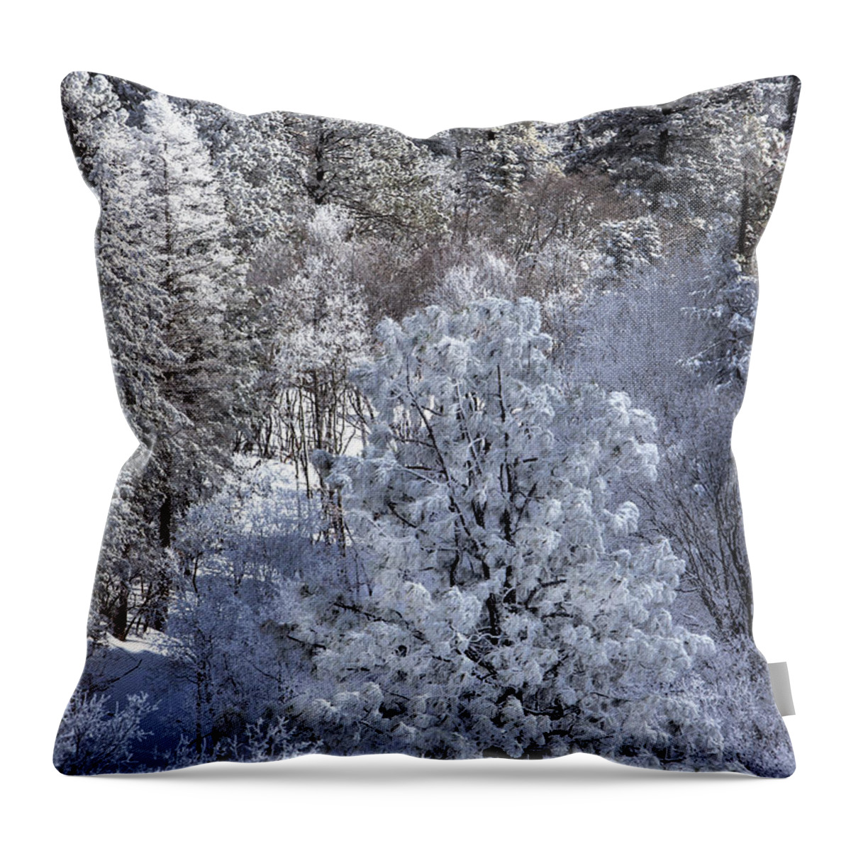 Snow Throw Pillow featuring the photograph Frosty Tree Study II by Diana Powell