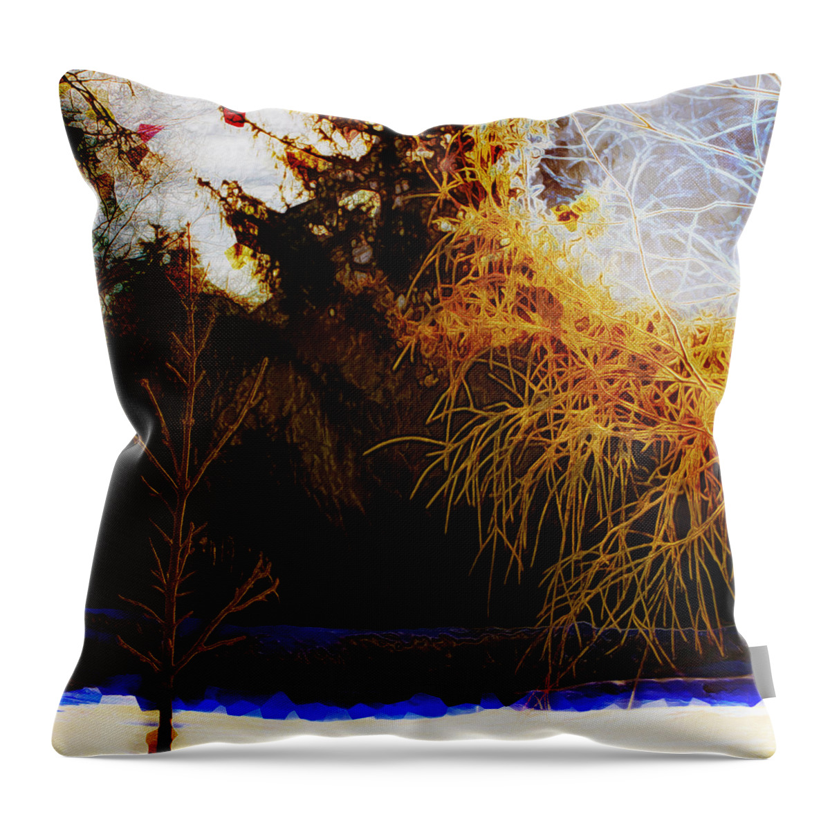 Winter Throw Pillow featuring the photograph Frosty Winter Morning by Hal Halli
