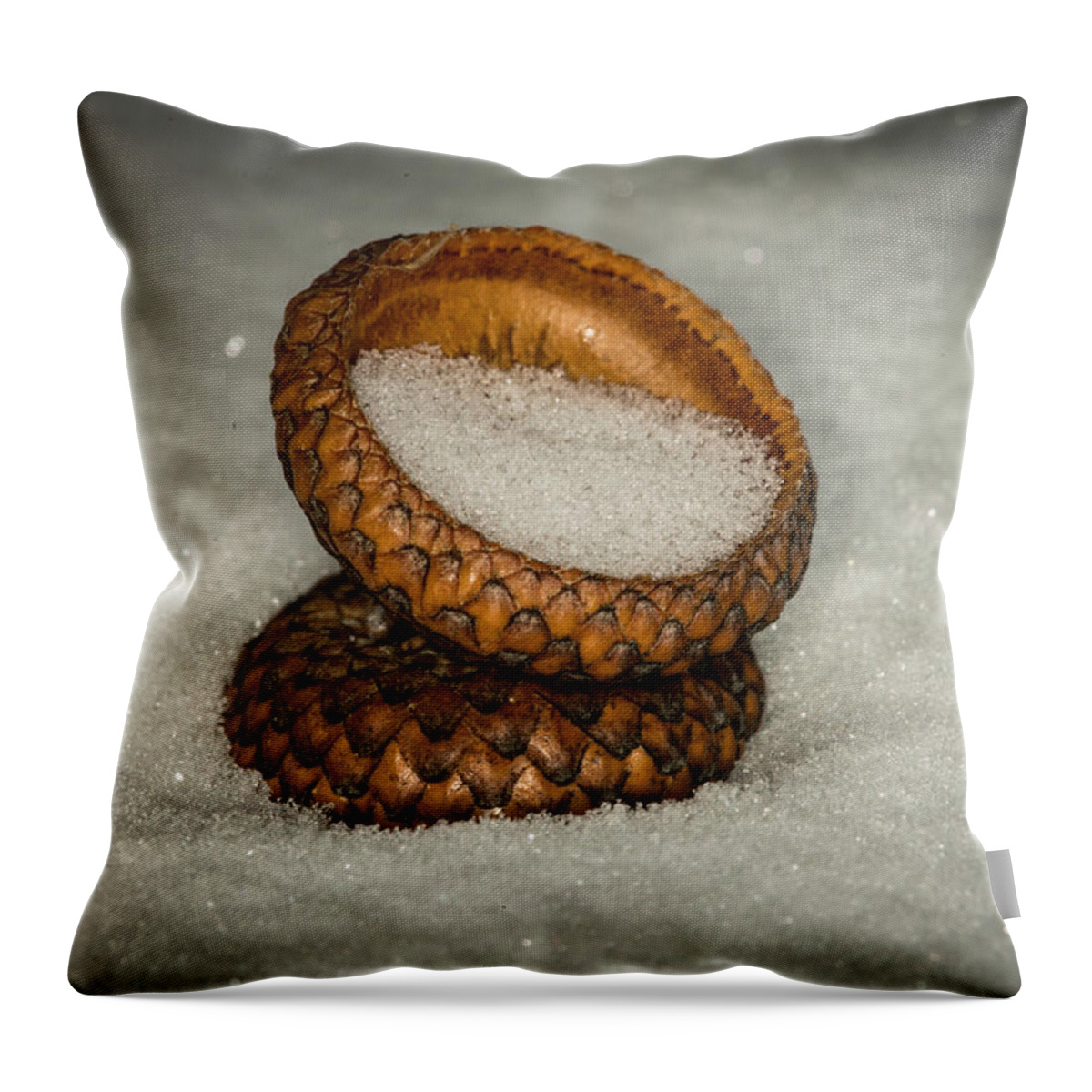 Nature Photograph Throw Pillow featuring the photograph Frozen Acorn Cupule by Paul Freidlund