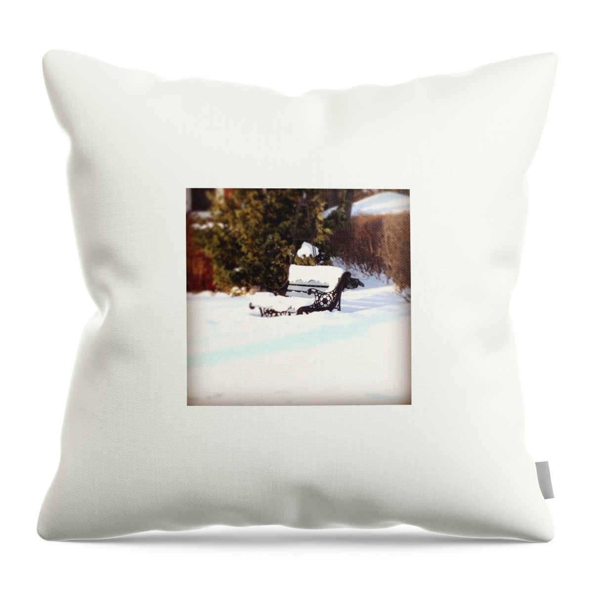  Throw Pillow featuring the photograph Frozen Bench by Frank J Casella
