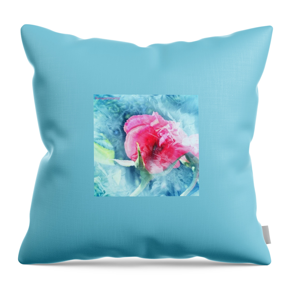 Pink Throw Pillow featuring the photograph Frozen In Time by Anna Porter