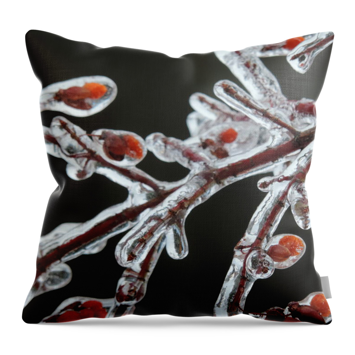 Red Throw Pillow featuring the photograph Frozen Red Berries by Bill Tomsa