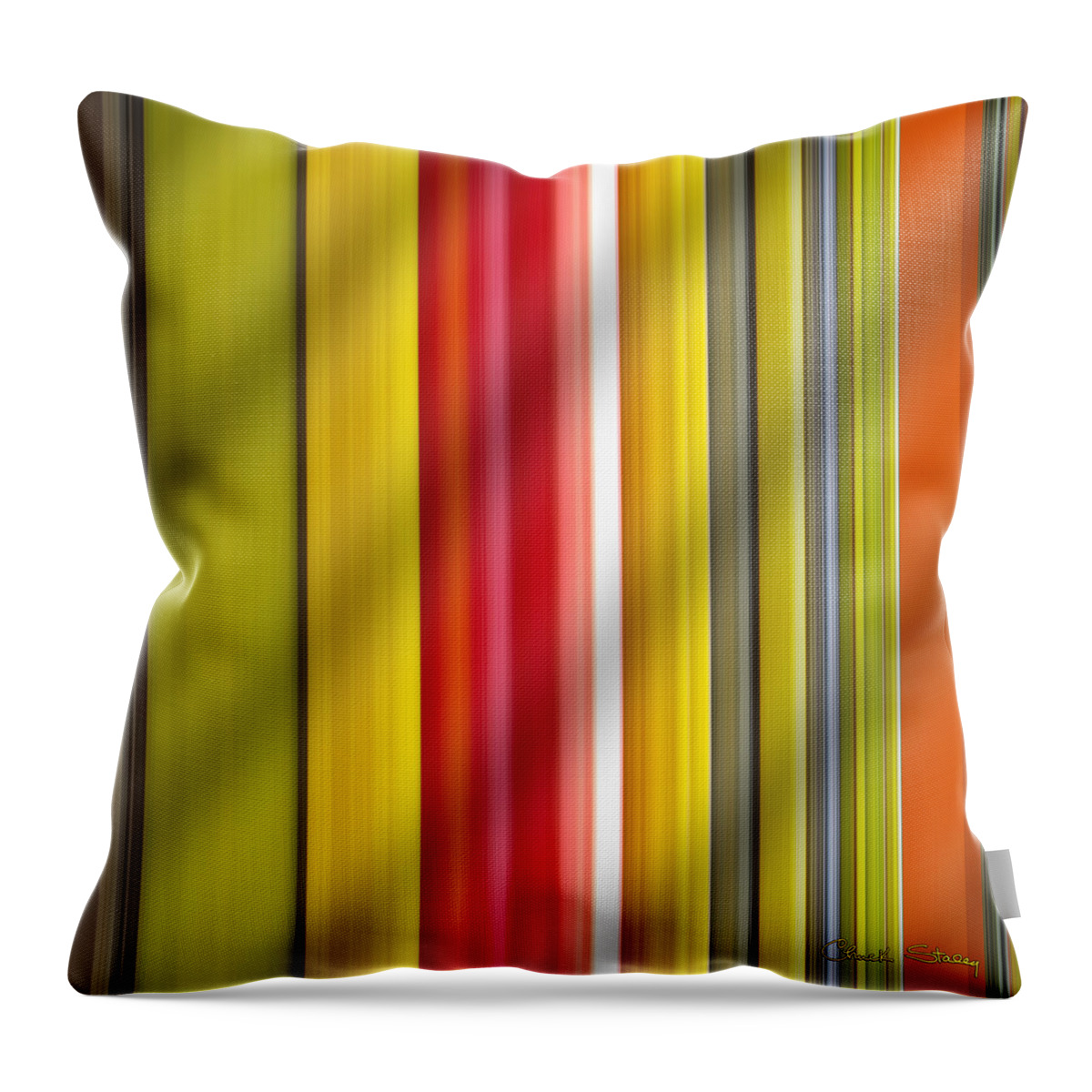 Chuck Staley Throw Pillow featuring the photograph Fruit Bowl and Cube Extract by Chuck Staley