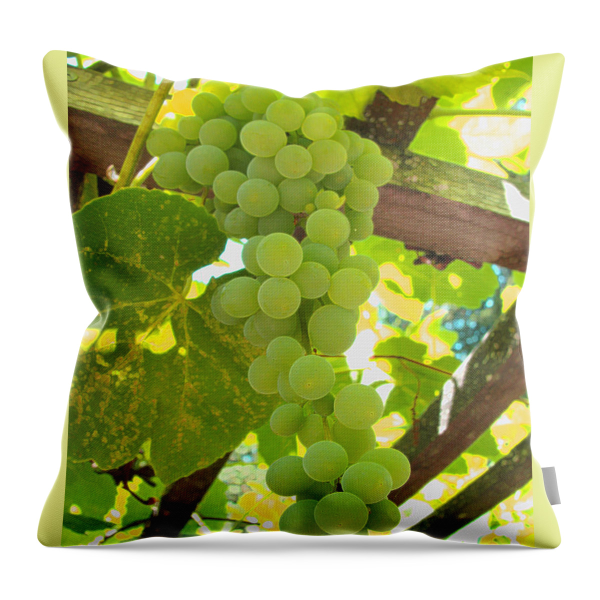 Grapes Throw Pillow featuring the photograph Fruit of the Vine - Garden Art for the Kitchen - Green Grapes by Brooks Garten Hauschild