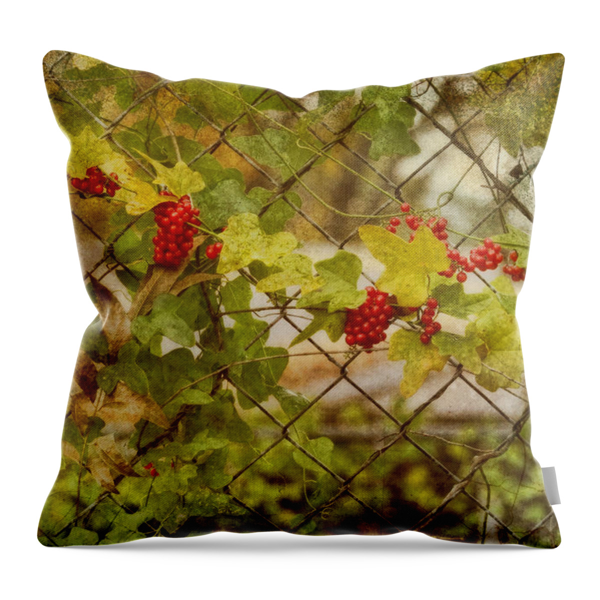 Red Throw Pillow featuring the photograph Fruit of the Vine by Joan Bertucci