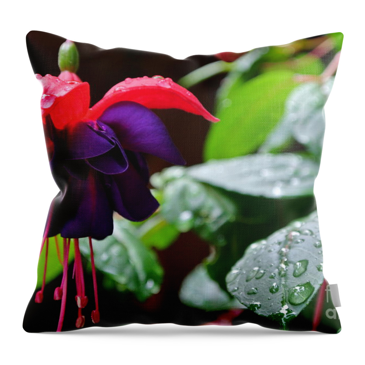  Throw Pillow featuring the photograph Fuchsia After Rain by Sharron Cuthbertson