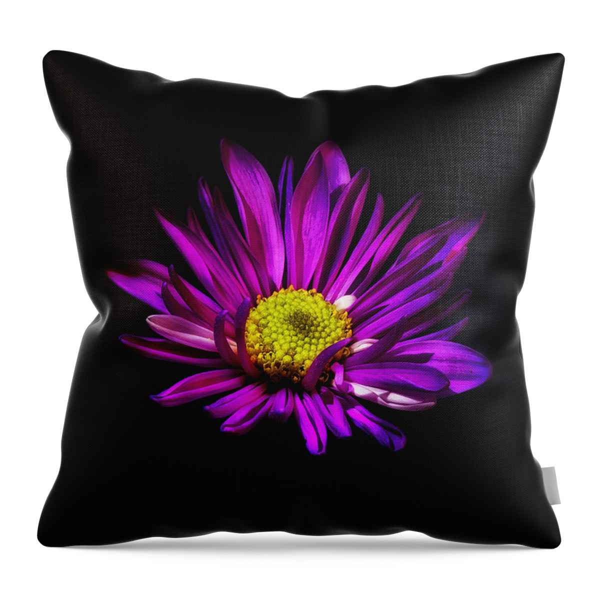 Flower Throw Pillow featuring the photograph Fuchsia Floral Bloom by Bill and Linda Tiepelman