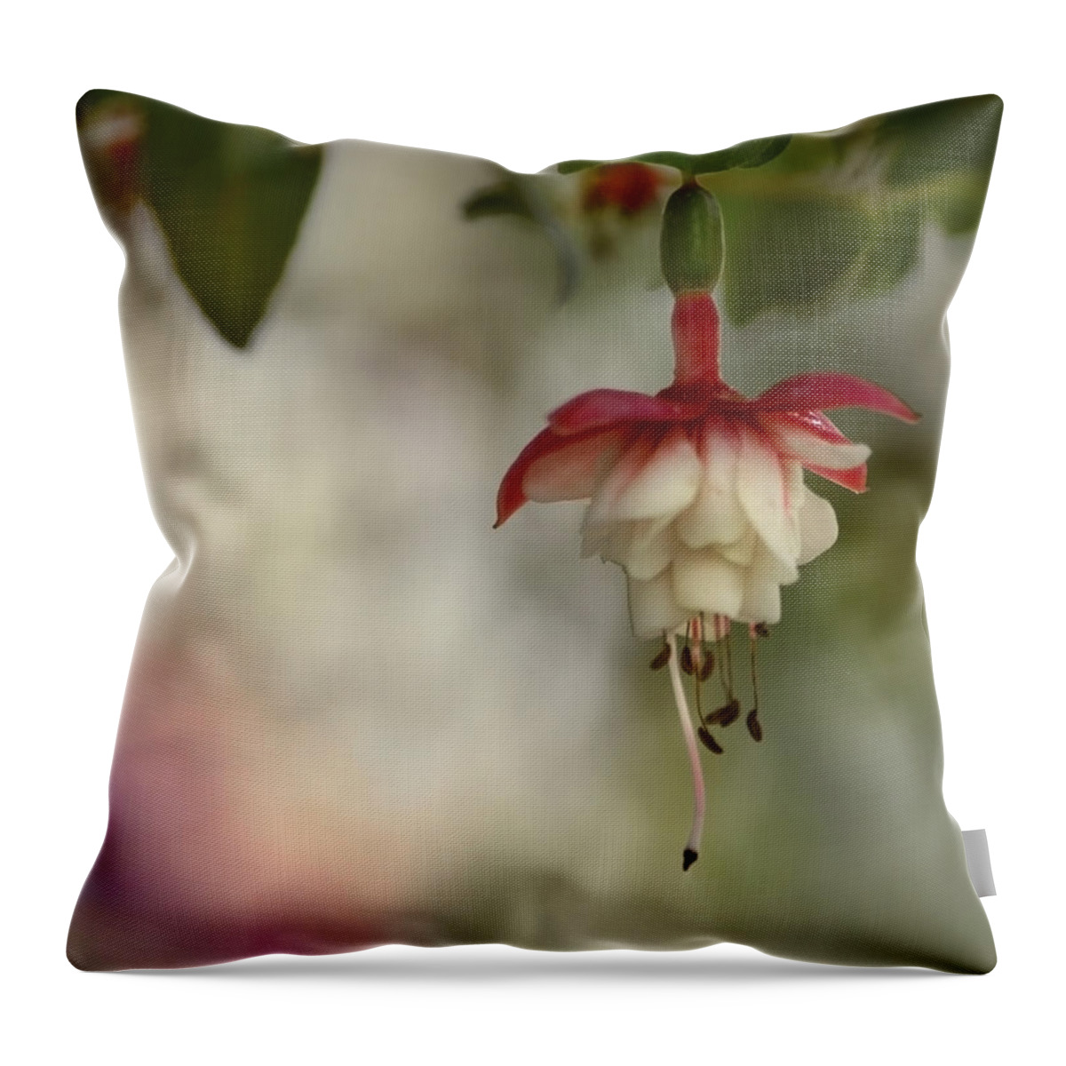 Fuchsia Throw Pillow featuring the photograph Fuchsia Love by Ann Bridges