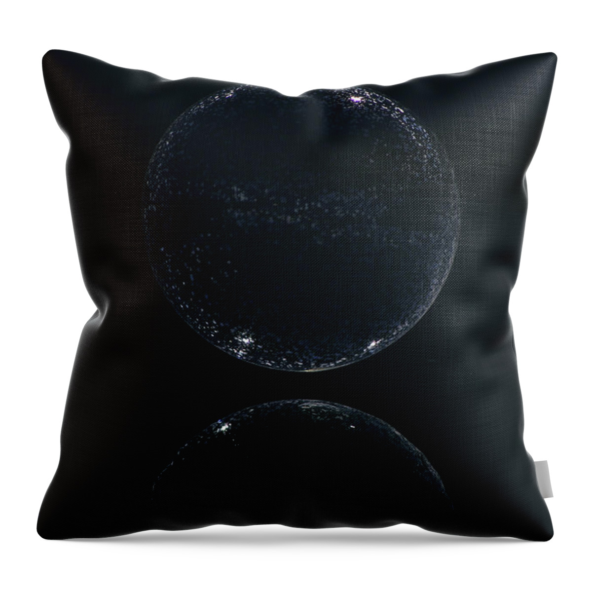 Circle Throw Pillow featuring the photograph New Moon by Cathie Douglas