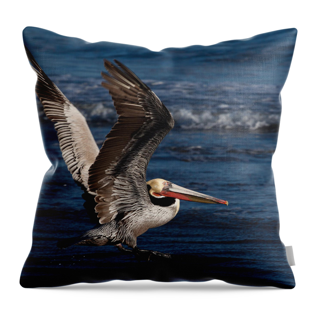 Pelican Throw Pillow featuring the photograph Full Flap Takeoff by John Daly