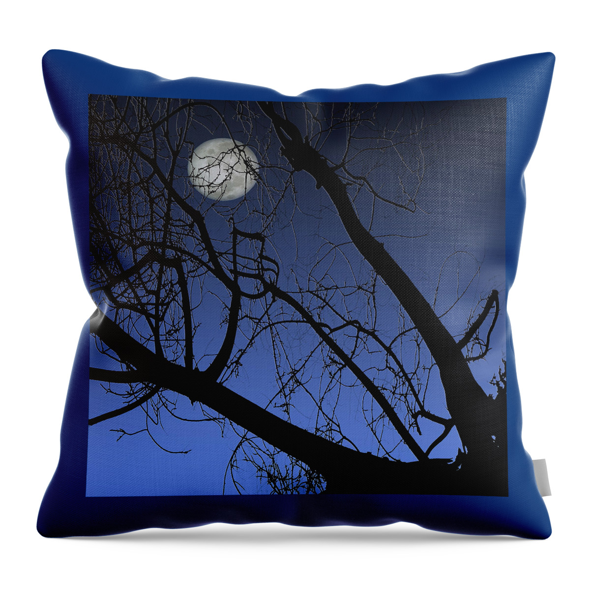 Tree Top Throw Pillow featuring the photograph Full Moon And Black Winter Tree by Ben and Raisa Gertsberg