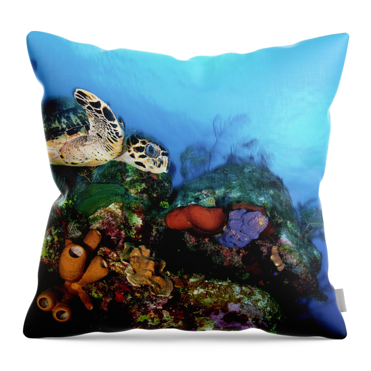 Underwater Throw Pillow featuring the photograph Full Speed Ahead by Extreme-photographer