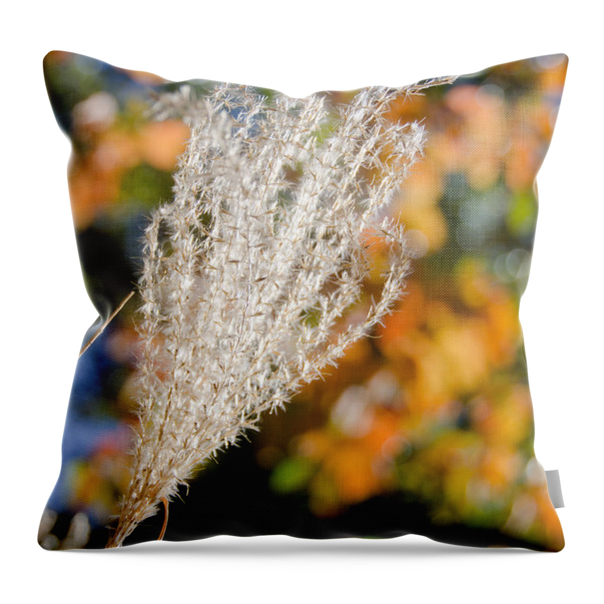 Fuzzy Throw Pillow featuring the photograph Fuzzy Grass 4 by Cassie Marie Photography