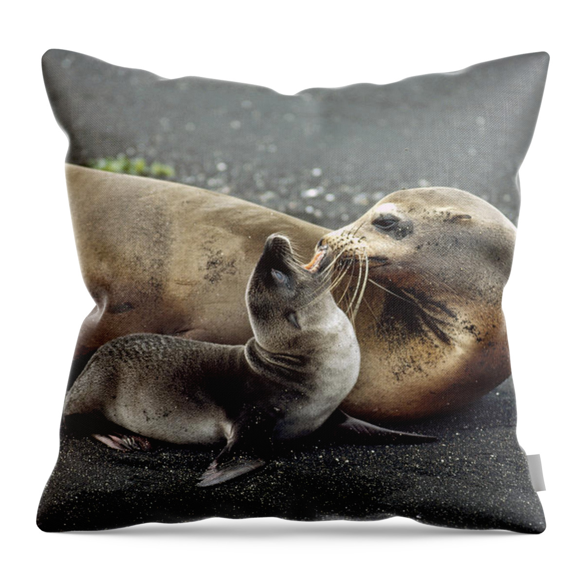 Feb0514 Throw Pillow featuring the photograph Galapagos Sea Lion Mother And Newborn by Tui De Roy