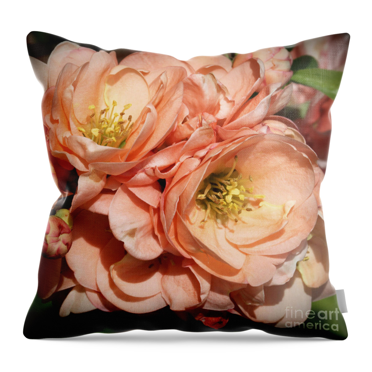 Flowers Throw Pillow featuring the photograph Garden Beauties by Todd Blanchard