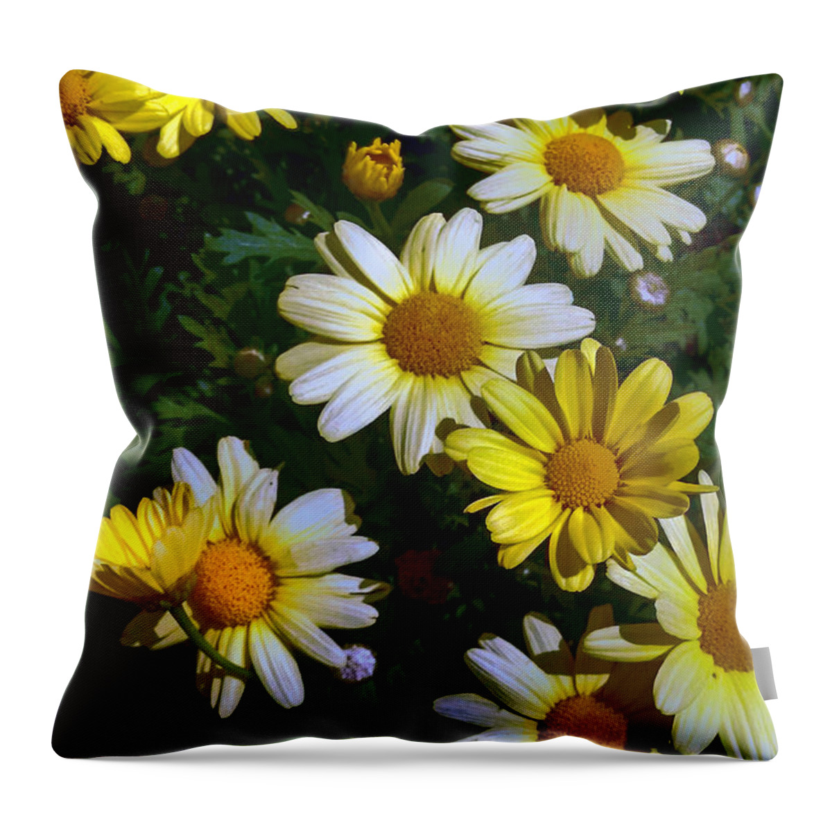 Donna Proctor Throw Pillow featuring the photograph Garden Delight by Donna Proctor