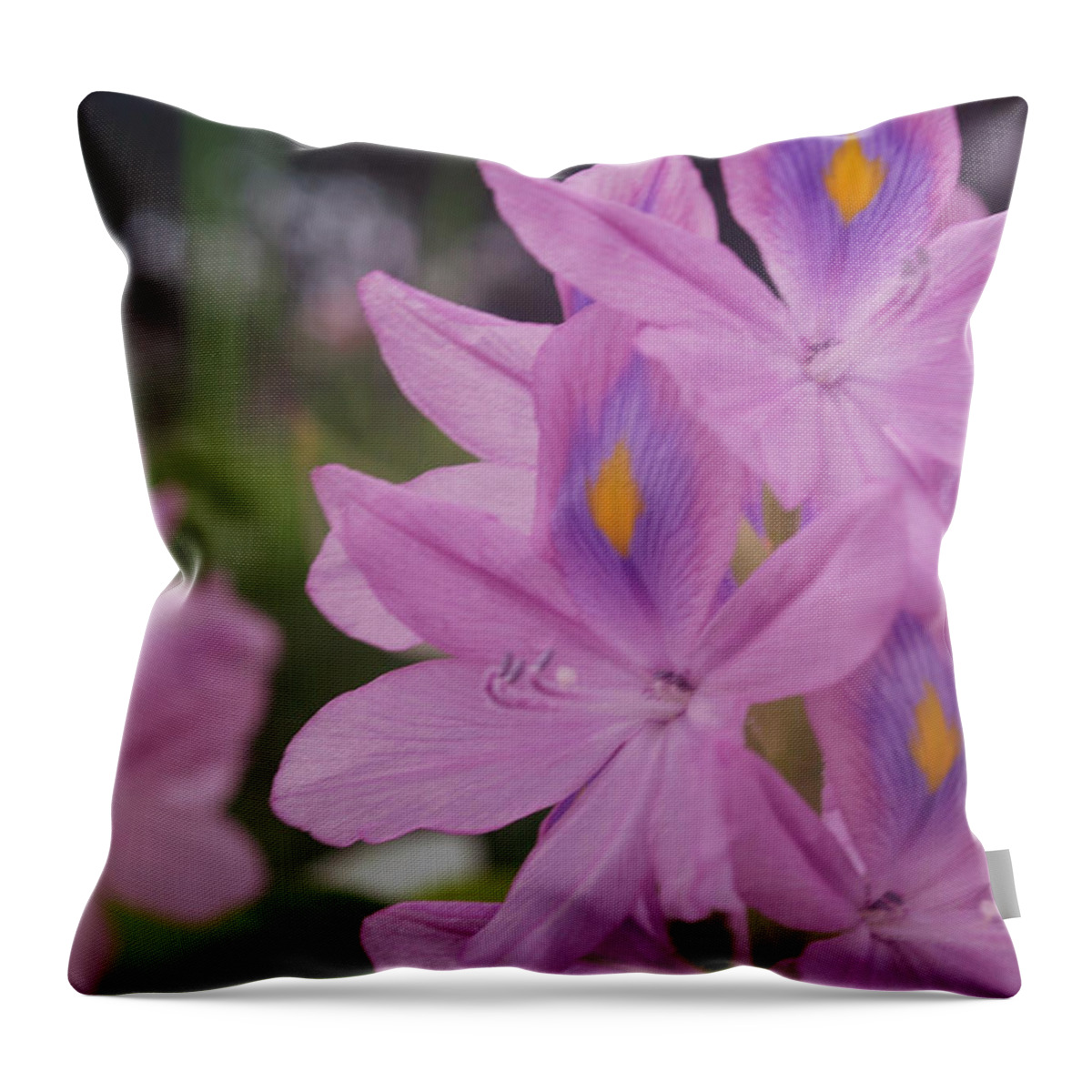Tropical Garden Throw Pillow featuring the photograph Garden is Watching by Miguel Winterpacht