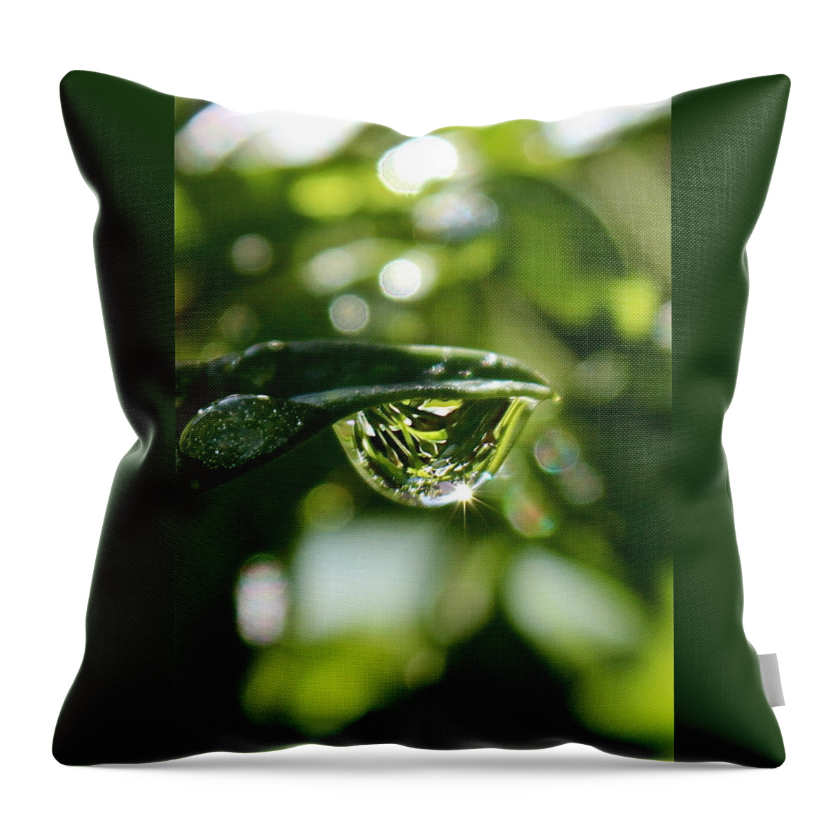 Water Drops Throw Pillow featuring the photograph Garden Reflections by Kume Bryant