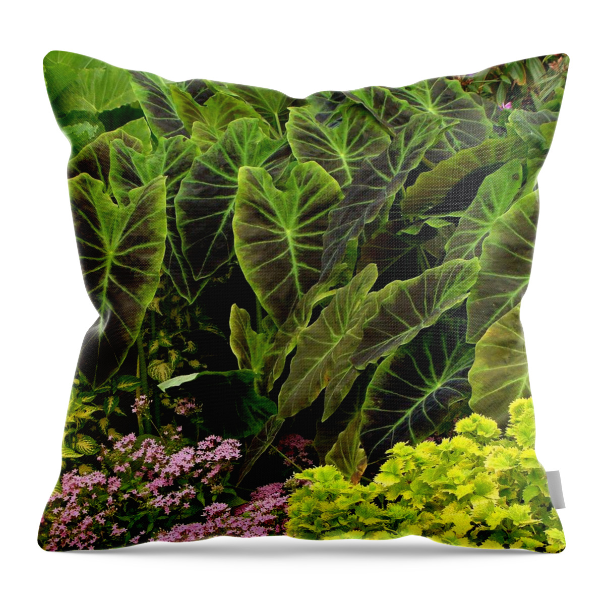 Fine Art Throw Pillow featuring the photograph Garden Salad by Rodney Lee Williams