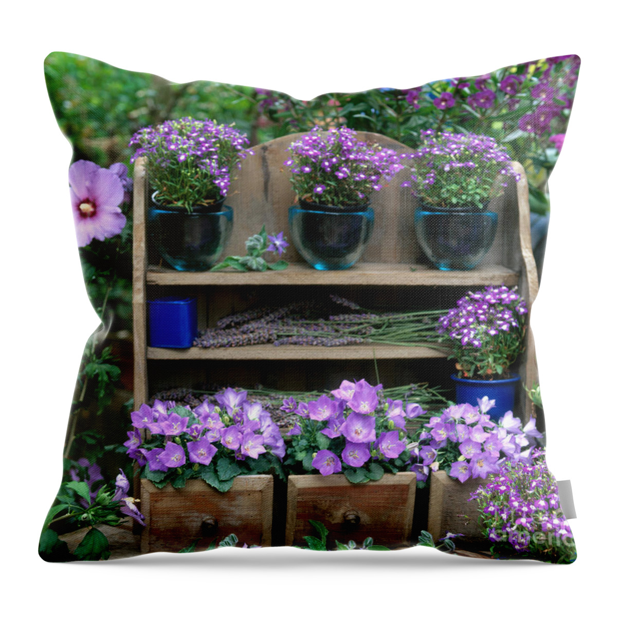 Plant Throw Pillow featuring the photograph Garden Still-life With Purple Flowers by Hans Reinhard