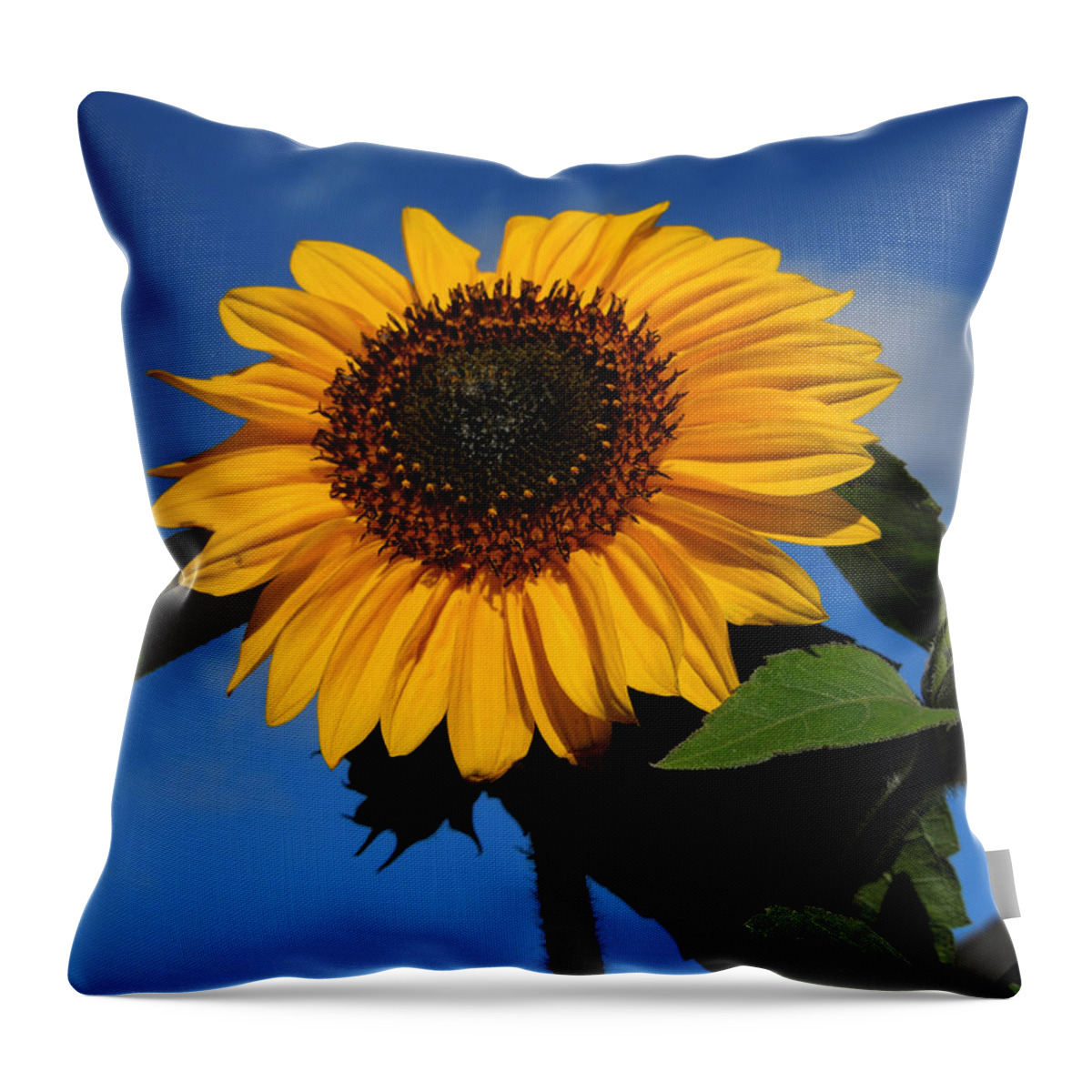 Colette Throw Pillow featuring the photograph Garden Sunflower October by Colette V Hera Guggenheim