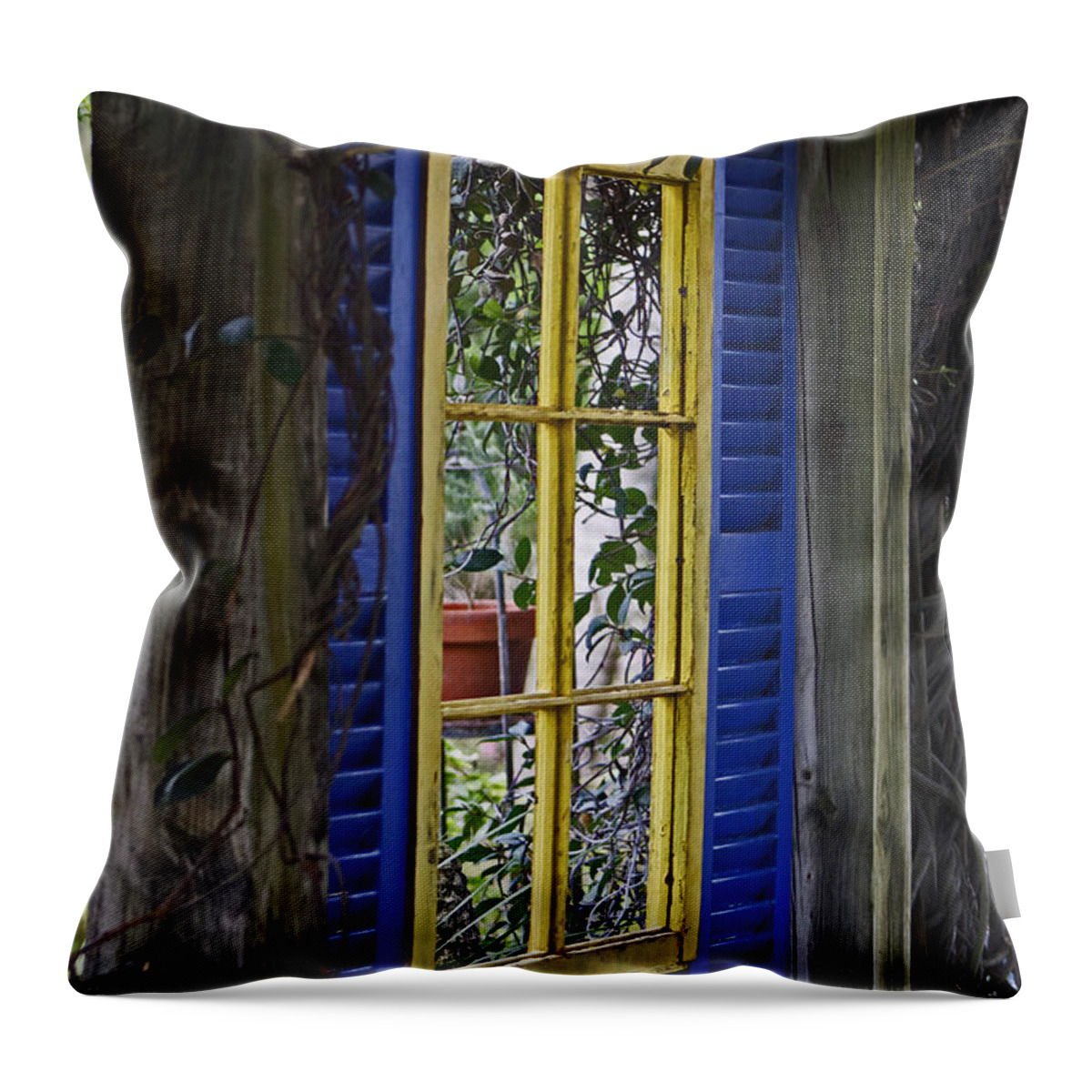 Garden Throw Pillow featuring the photograph Garden window by Lily K