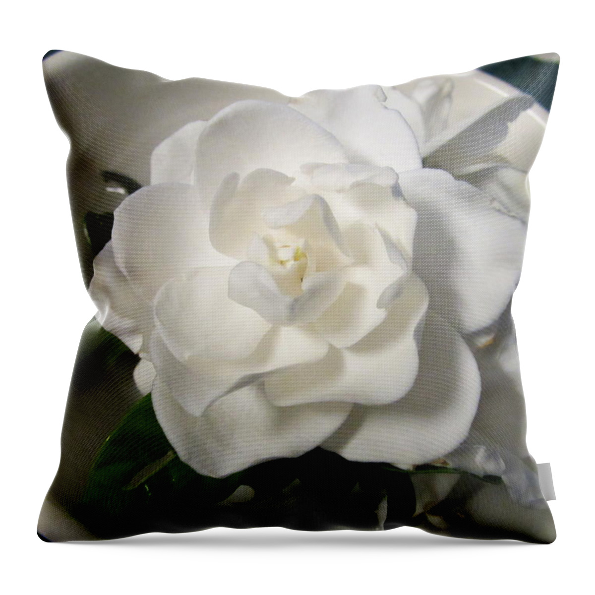 Gardenia Throw Pillow featuring the photograph Gardenia Bowl by Deborah Lacoste