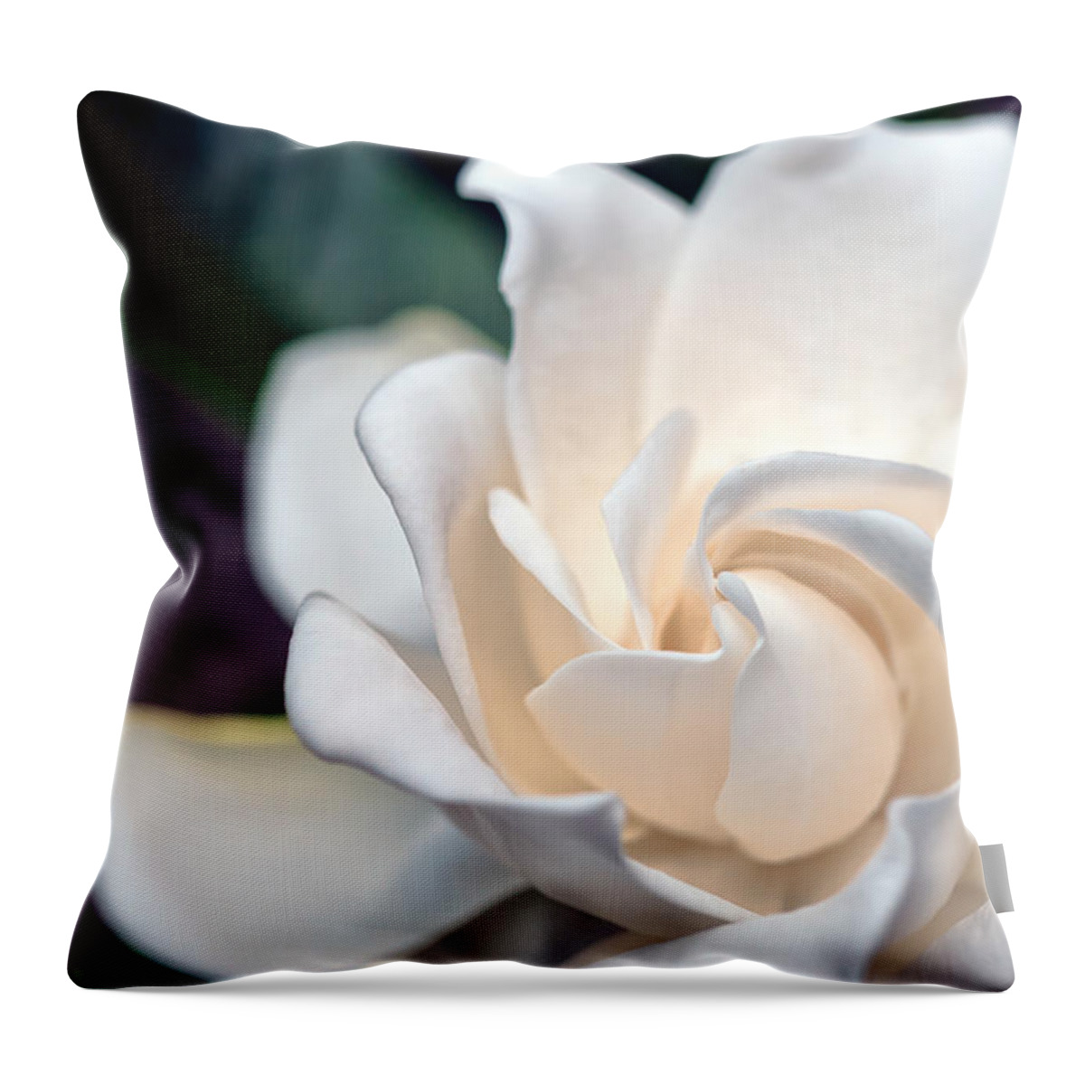 Hawaii Throw Pillow featuring the photograph Gardenia by Dan McManus