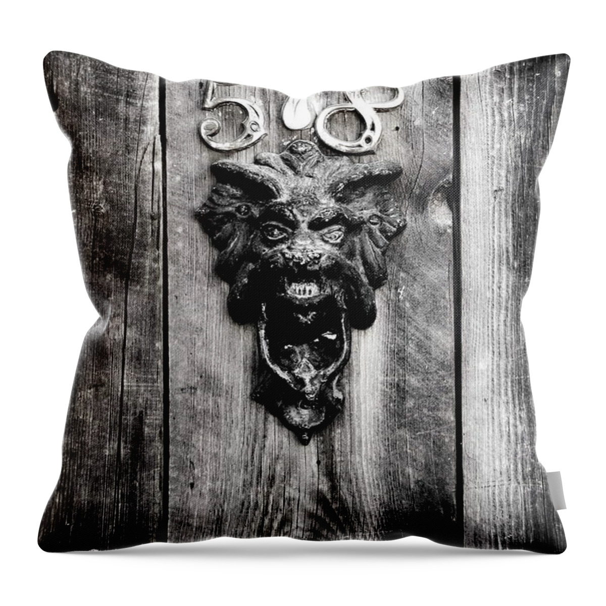 Gargoyle Throw Pillow featuring the photograph Gargoyle 518 by Ron Weathers