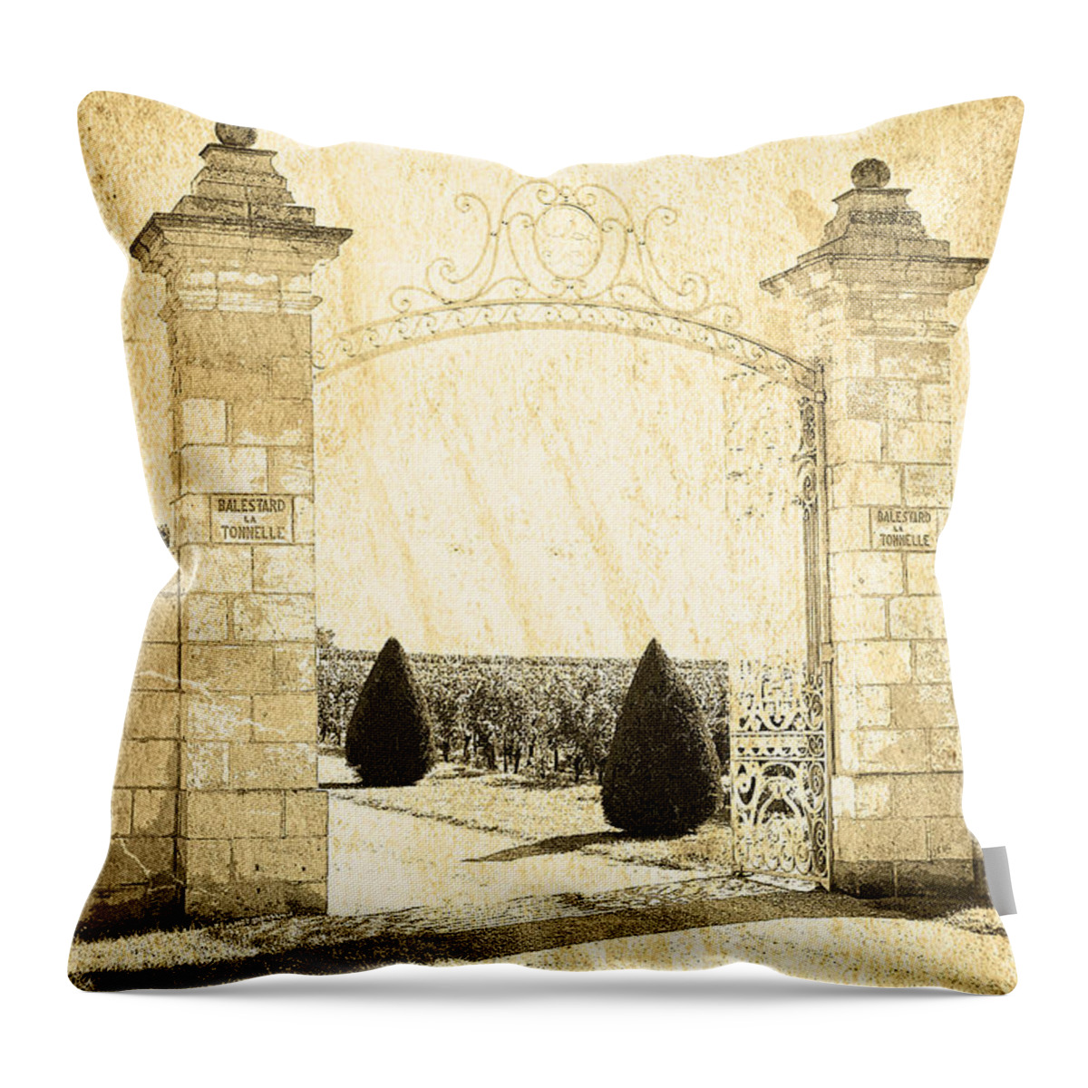 Gate Throw Pillow featuring the photograph Gateway Into The Garden by Heiko Koehrer-Wagner