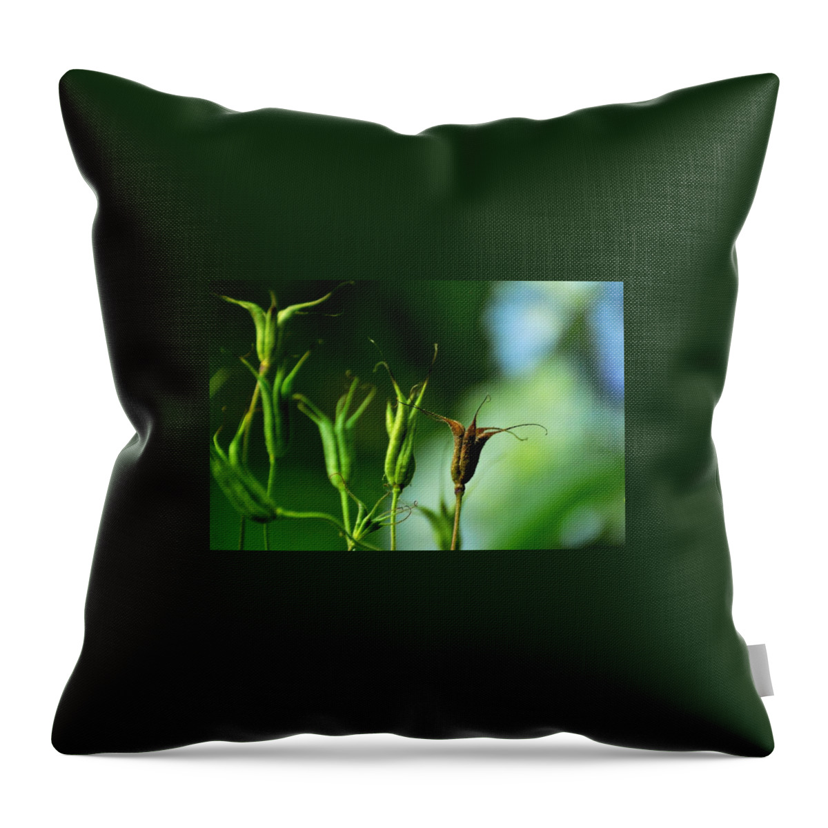Aquilegia Throw Pillow featuring the photograph Gather if you wish. Then let them go. by Rebecca Sherman
