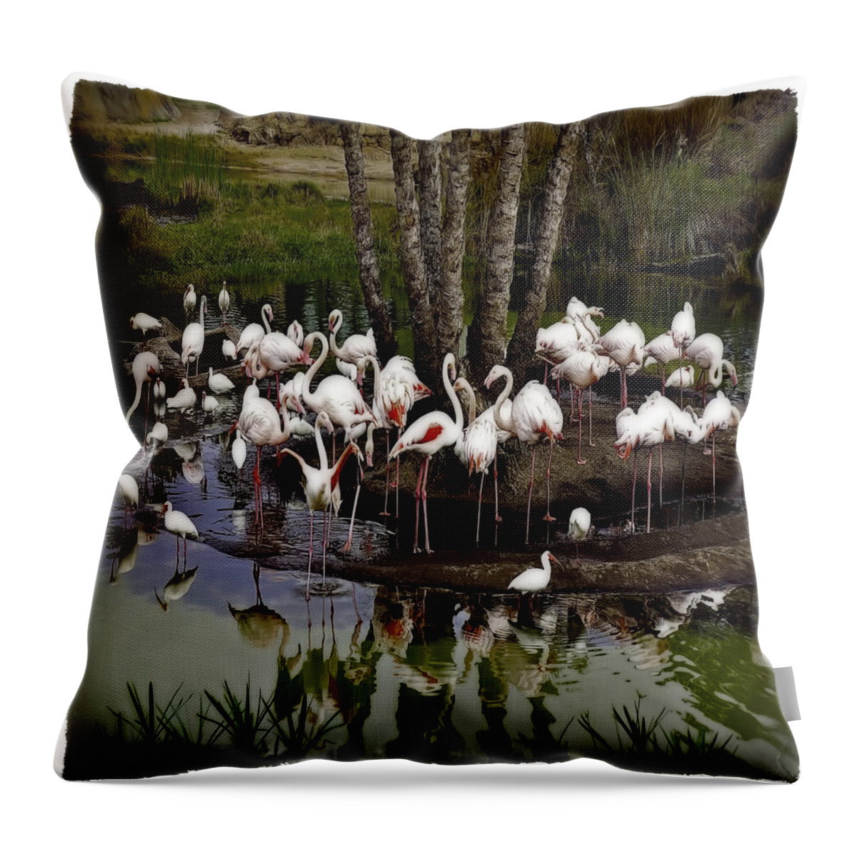  Throw Pillow featuring the photograph Gathering by Jerry Golab