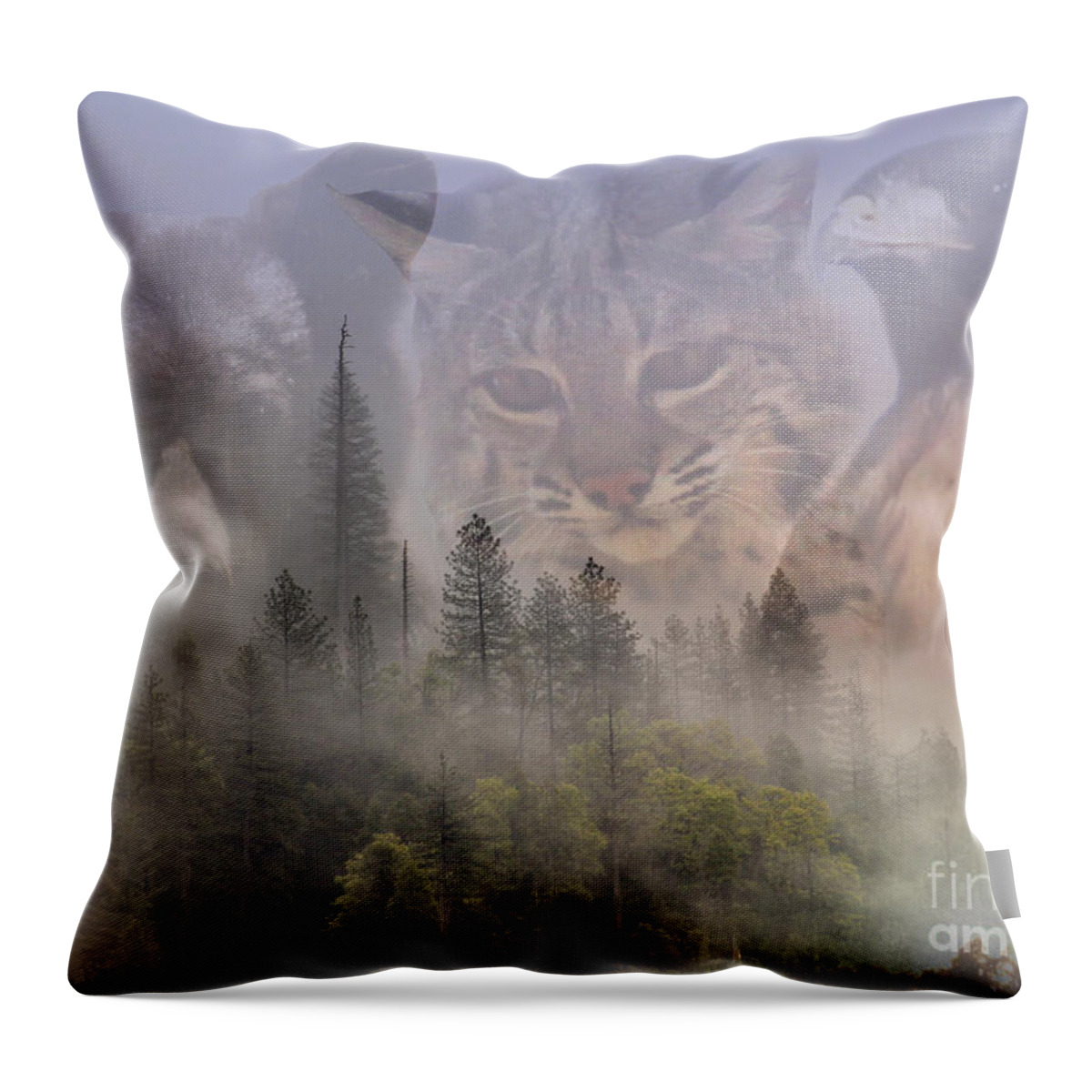 Bear Throw Pillow featuring the photograph Bear, Bobcat and Hawk in Forest by Stephanie Laird