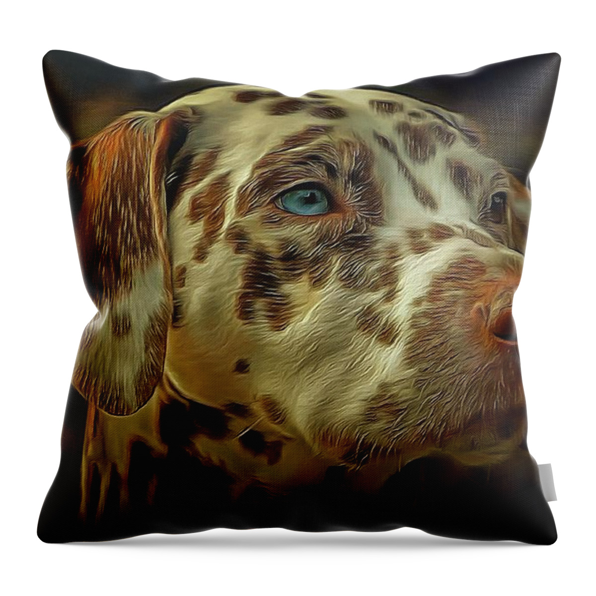 Sunset Throw Pillow featuring the digital art Gazing into the Sunset by Sarah Sever