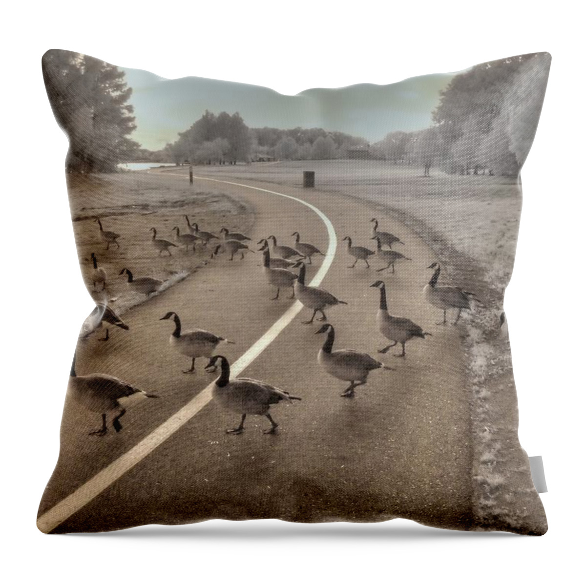 Goose Throw Pillow featuring the photograph Geese Crossing by Jane Linders