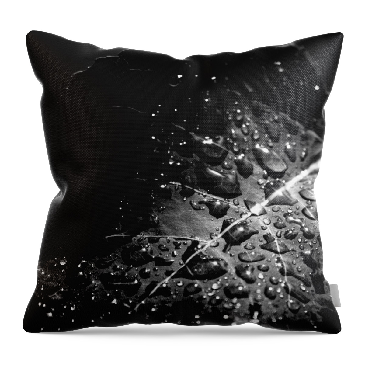 Rain Drops Throw Pillow featuring the photograph Generous Hands by J C